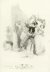 Der Widerspenstigen Zähmung